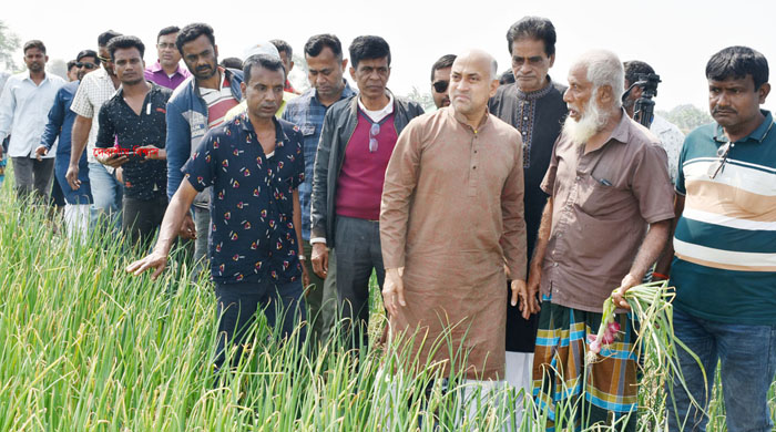 বালিয়াকান্দির বাসুখালী মাঠে ঘাস মারার বিষে নষ্ট হওয়া পেঁয়াজ ক্ষেত পরিদর্শনে এমপি হারুন 
